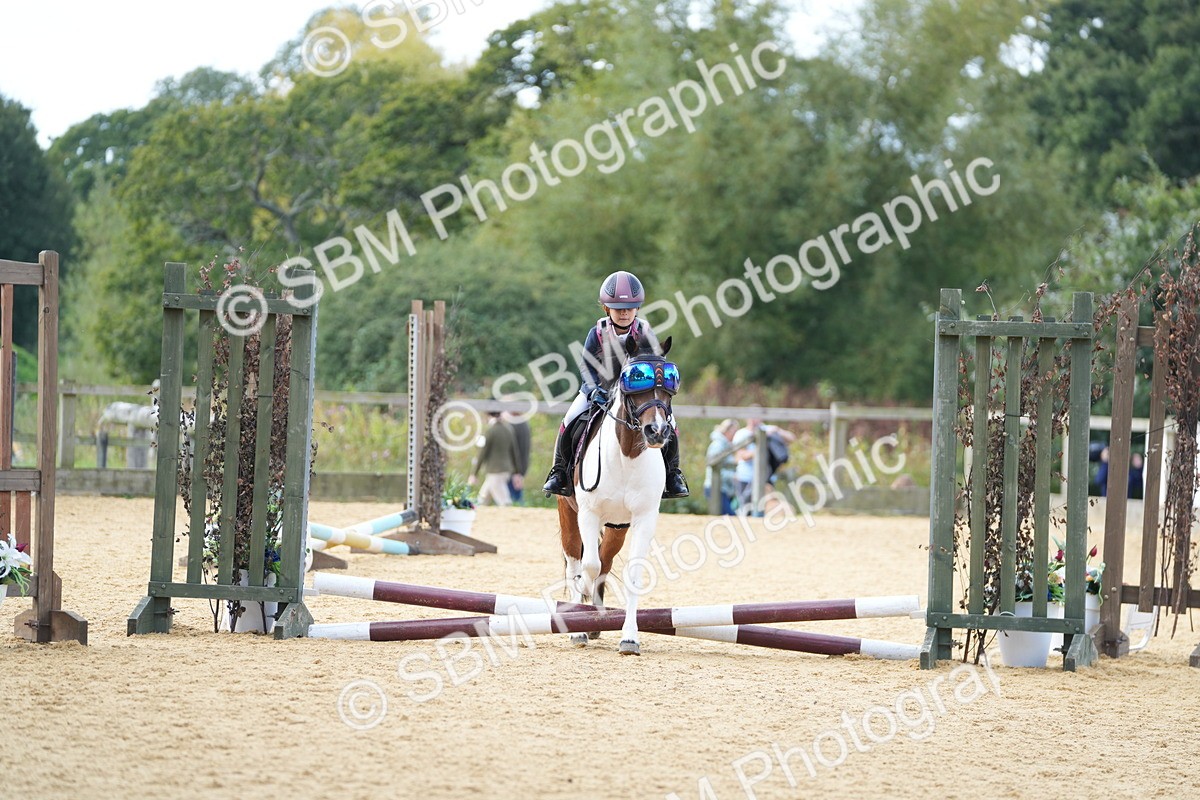 SBM_64432 - J2 - Mini Tour Junior Pony 30cm Championship