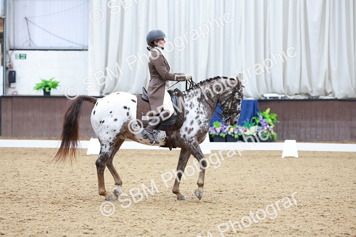 SBM_021410 - Class 14 - FEI Grand Prix - 17.40-18.34