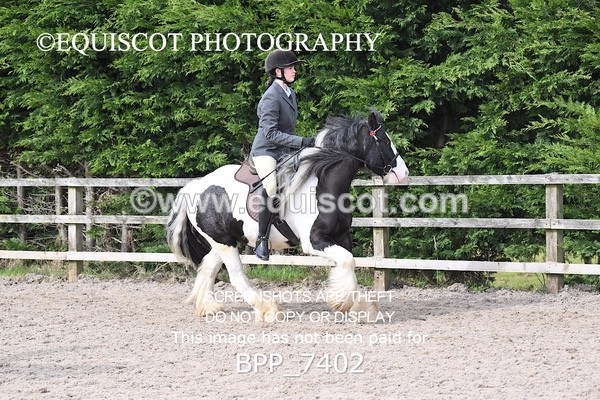 BPP_7402 - RING 1  (RIDDEN HORSES / IN HAND / VETERAN ETC)