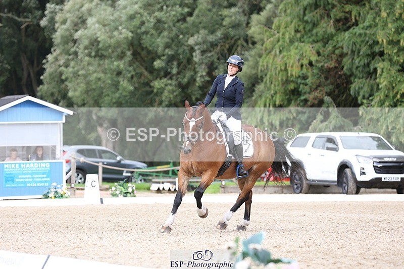 230812-151023-05067 - Cls 5 Novice Bronze 15.00 to End