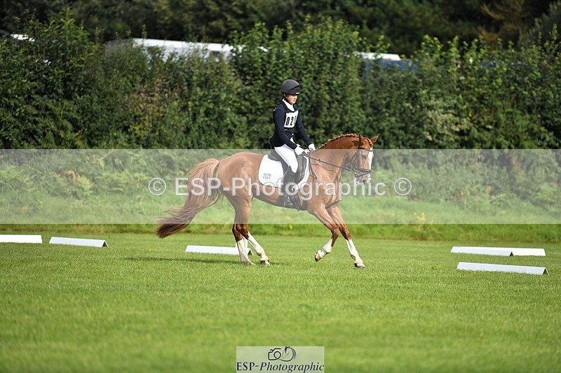 230826-093331-15144 - Sections C & D 9 to 10am