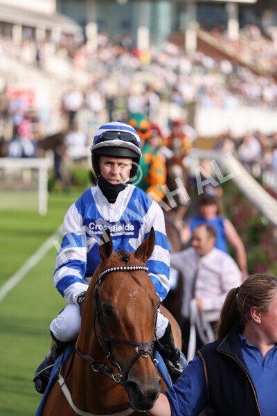 yr23072021r2-8 - Race 2 6.30pm IRE-Incentive It Pays To Buy Irish Stakes