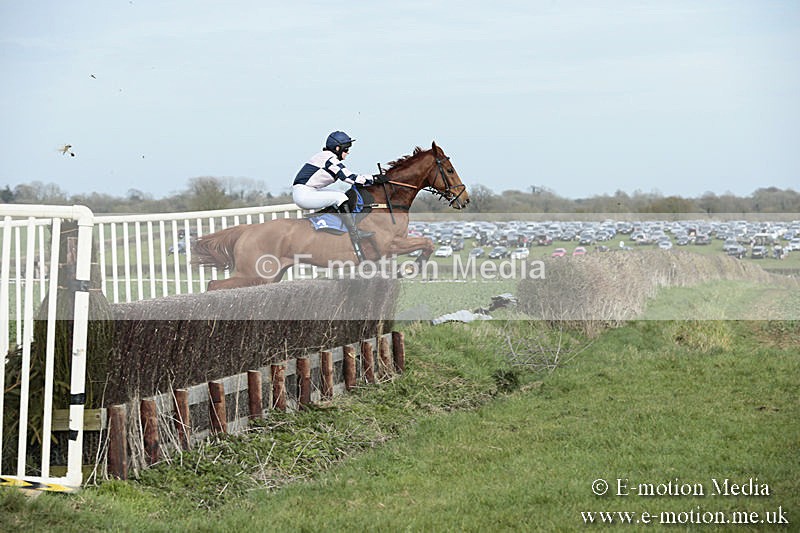 PtP 230319 350 - VWH Hunt Siddington Point-to-Point Racing 23/03/19