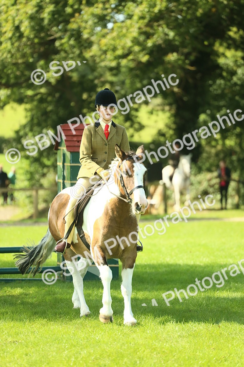 SBM_41980 - S29 - Novice & Newcomers Working Hunter Pony