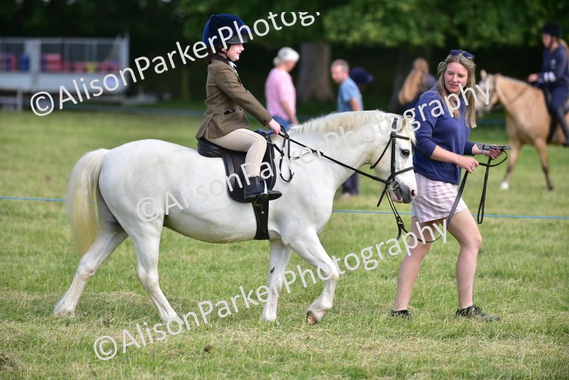 20260614-1130 - Class 11a - Lead Rein Pony (Unplaited)