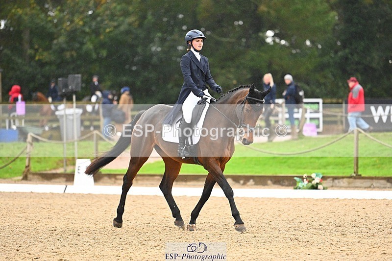 231021-121500-15093 - 347-SHANBEG.PANDORA-Alice.Gates-DR