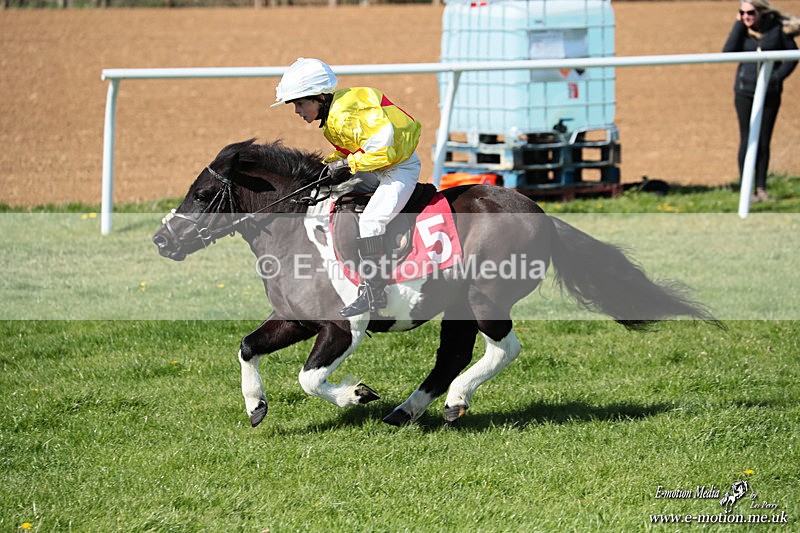 Shet 060426 199 - Shetland Pony Racing Paxford Races Easter Mon 06/04/26