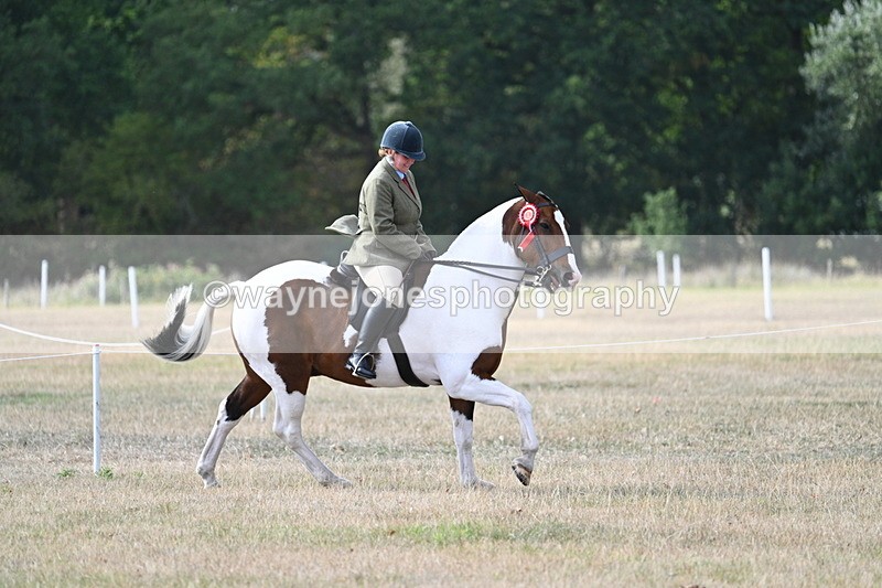 WJ7_7716 - Ridden Championship