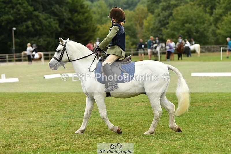 250820A-113920-05182 - 11am to 12