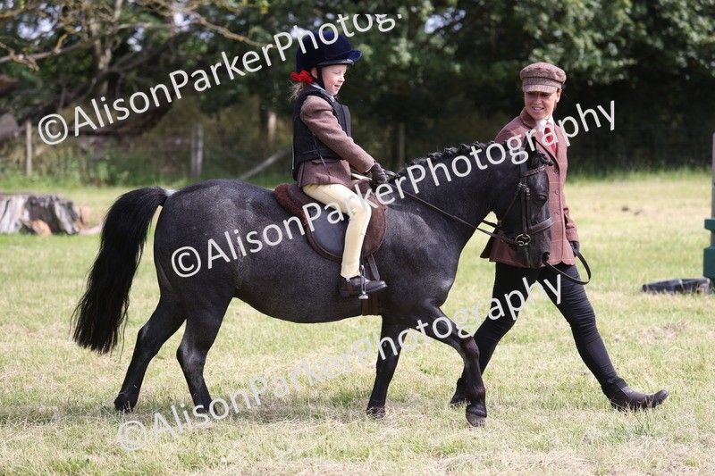 20260614-0585 - Class 20 - Beginners Working Hunter Pony