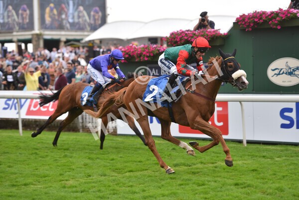 yr24072021r7-57 - Race 7 5.35pm The Sporting Life Fast Results Stakes