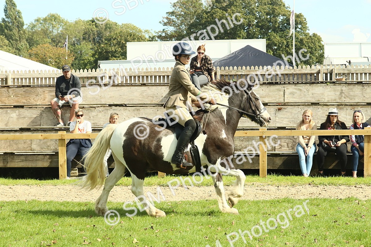 SBM_67525 - S56 - Coloured Pony Ridden