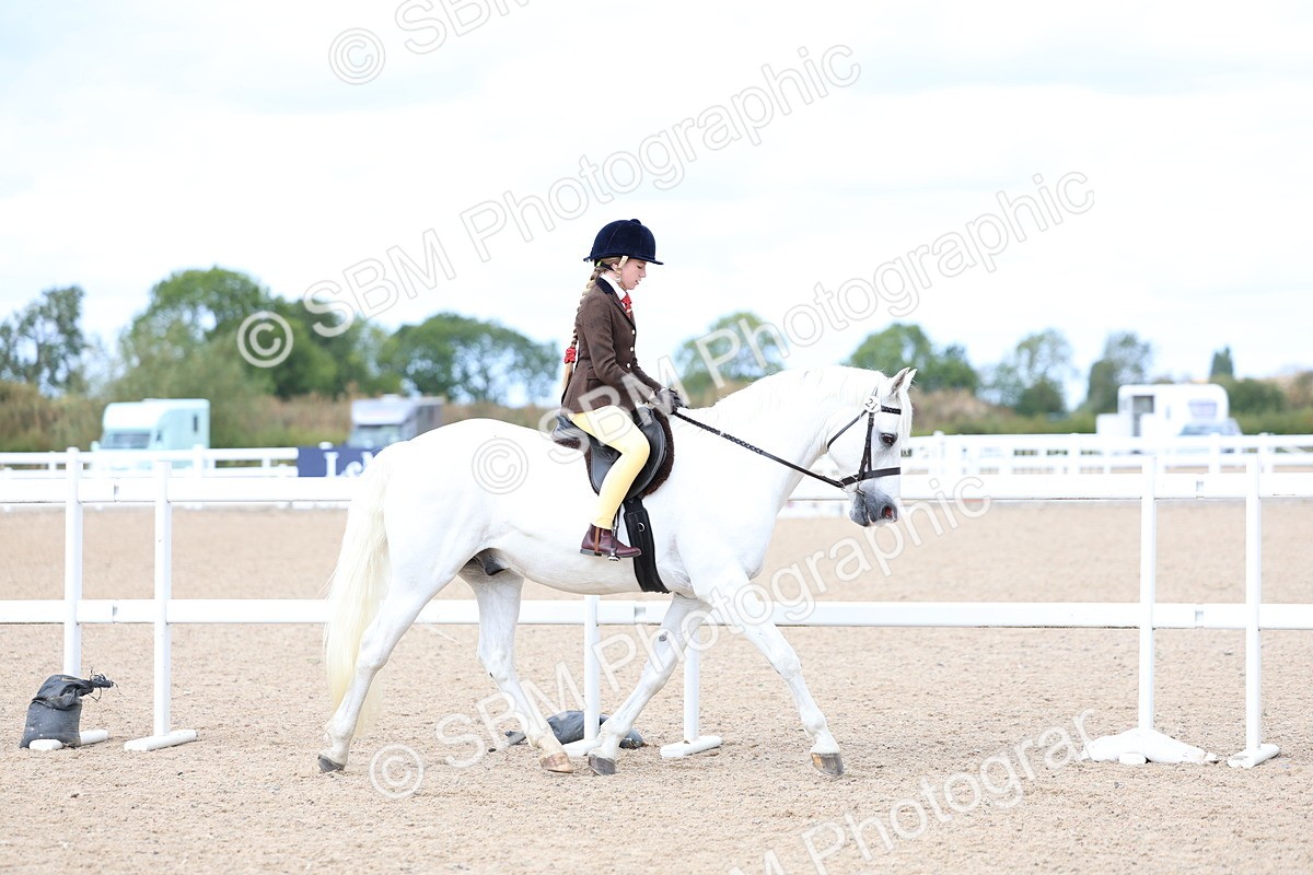 SBM_15759 - Class 314 - Family Horse - Pony