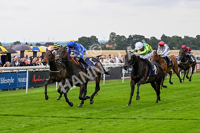 290826-Race 1-Trilby-5262 - Race 1 1.45pm Blink And You Miss It Sprint Handicap