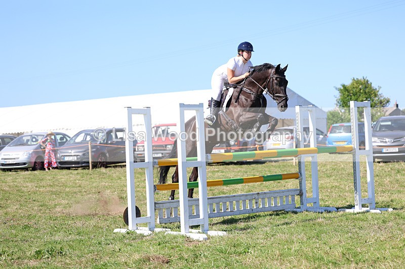 3E7A6531 - Class 13: Senior Newcomers/1.10m open