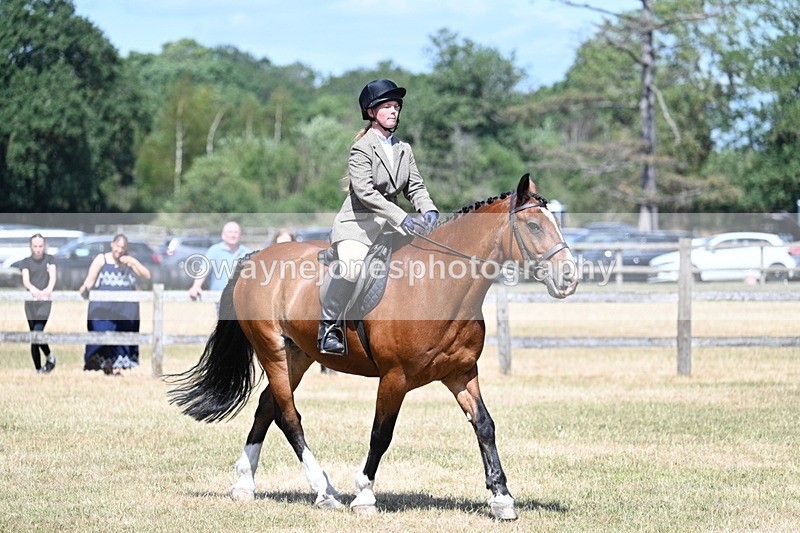 WJ7_3461 - Class 8 Ridden Veterans