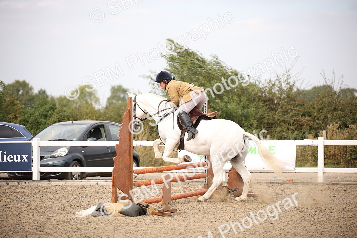 SBM_16136 - Class 409a - Working Veteran 80cm (15-19)