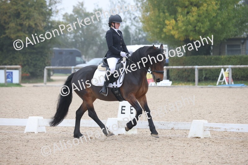 20251012-0434 - Class 3 - Novice 5