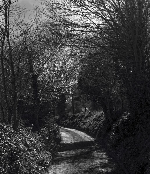  - Black and White