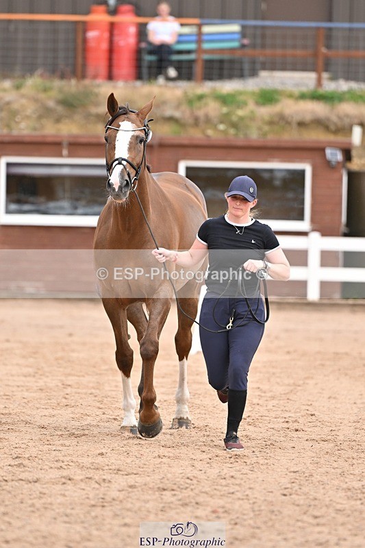 250716-151547-01824 - Trot Up 2.30 to 3.30
