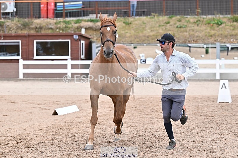 250716-134156-00642 - Trot Up 1.30 to 2.30