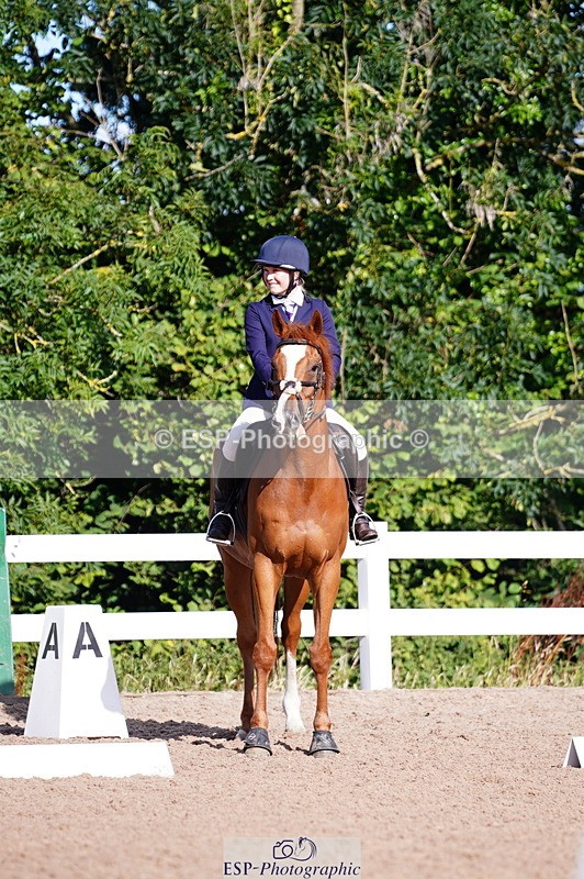 240809A-090114-00122 - Dressage Competition