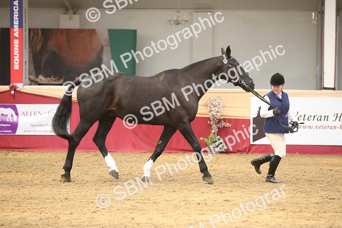 SBM_05357 - Class 8R - Regional IH Veteran