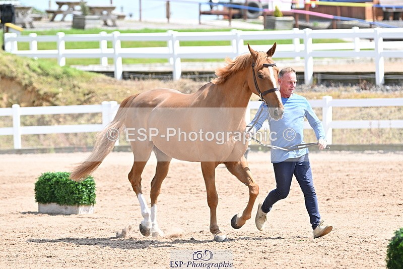 240717A-150649-02550 - Trot Up 3pm to 4pm