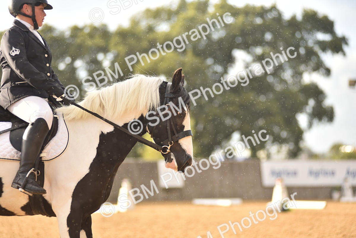 SBM_29772 - D16 -Small Tour Championship Novice 2