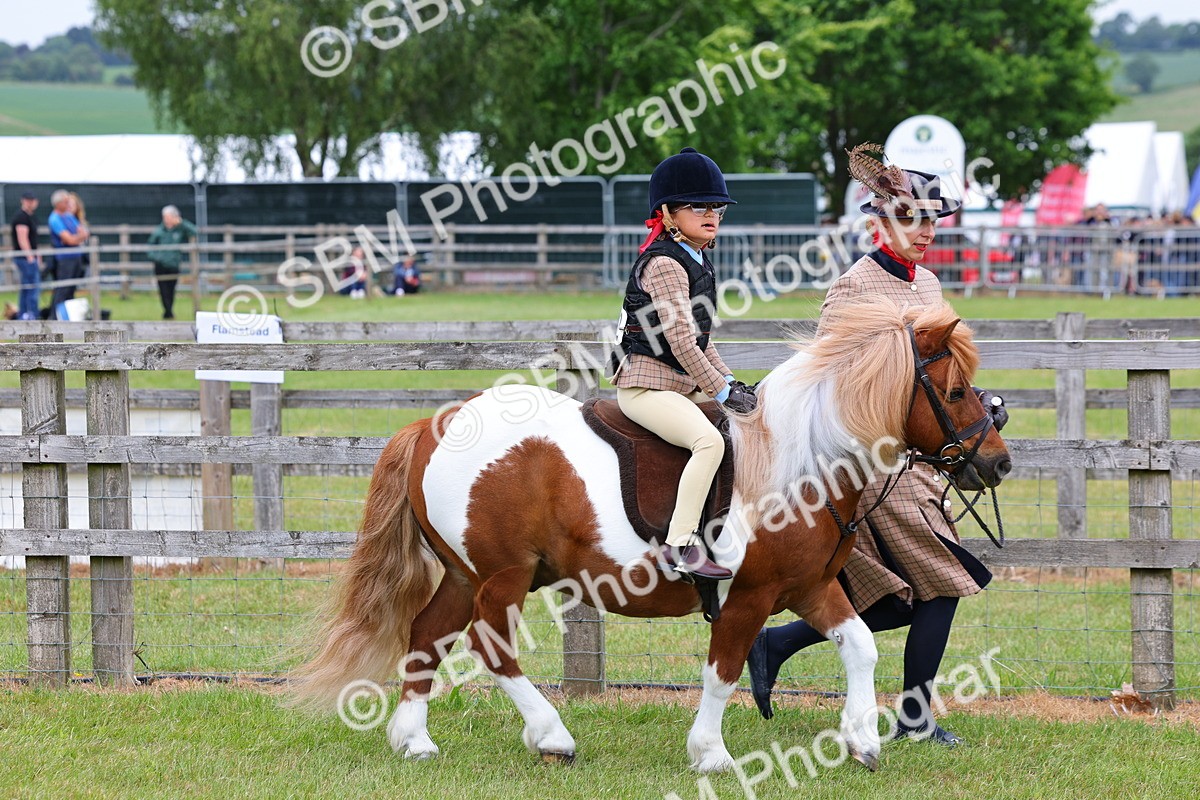 SBM_08094 - Class 42-43 - LIHS BSPS Heritage Working Sports Pony