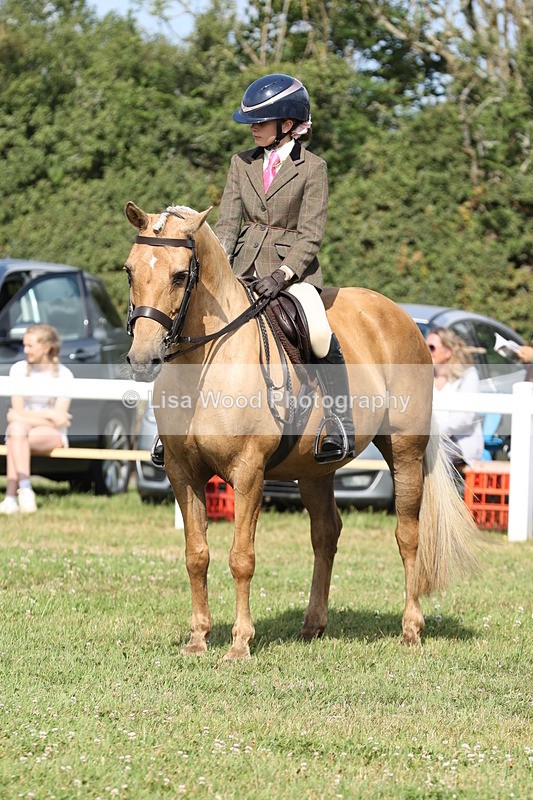 JPP_0843 - Class 16: Cornish Combination Young Rider
