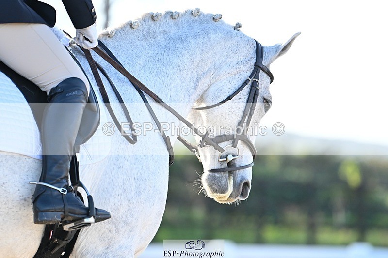 231105-083014-00394 - Cls 3 Prelim 12 Start to 9.50 break