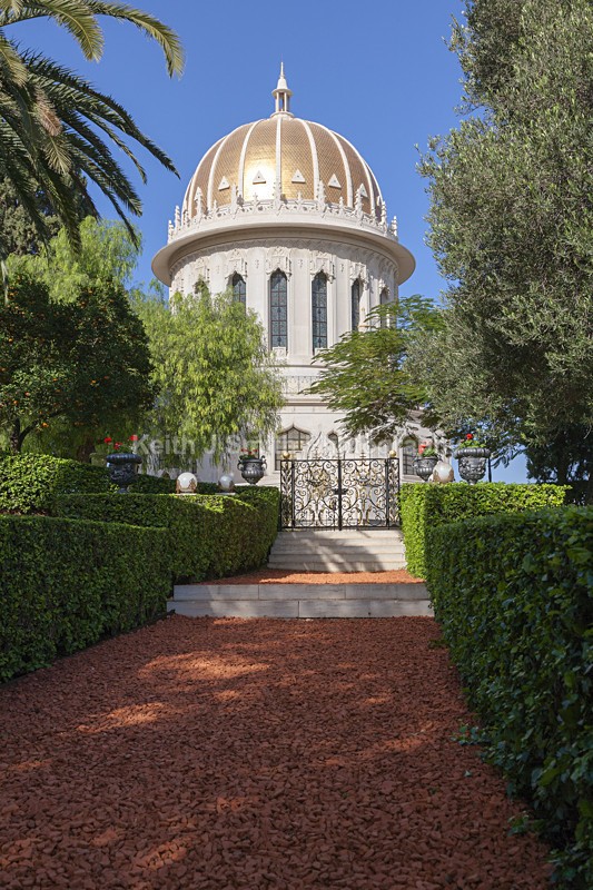 YR6M9254 - Worldwide