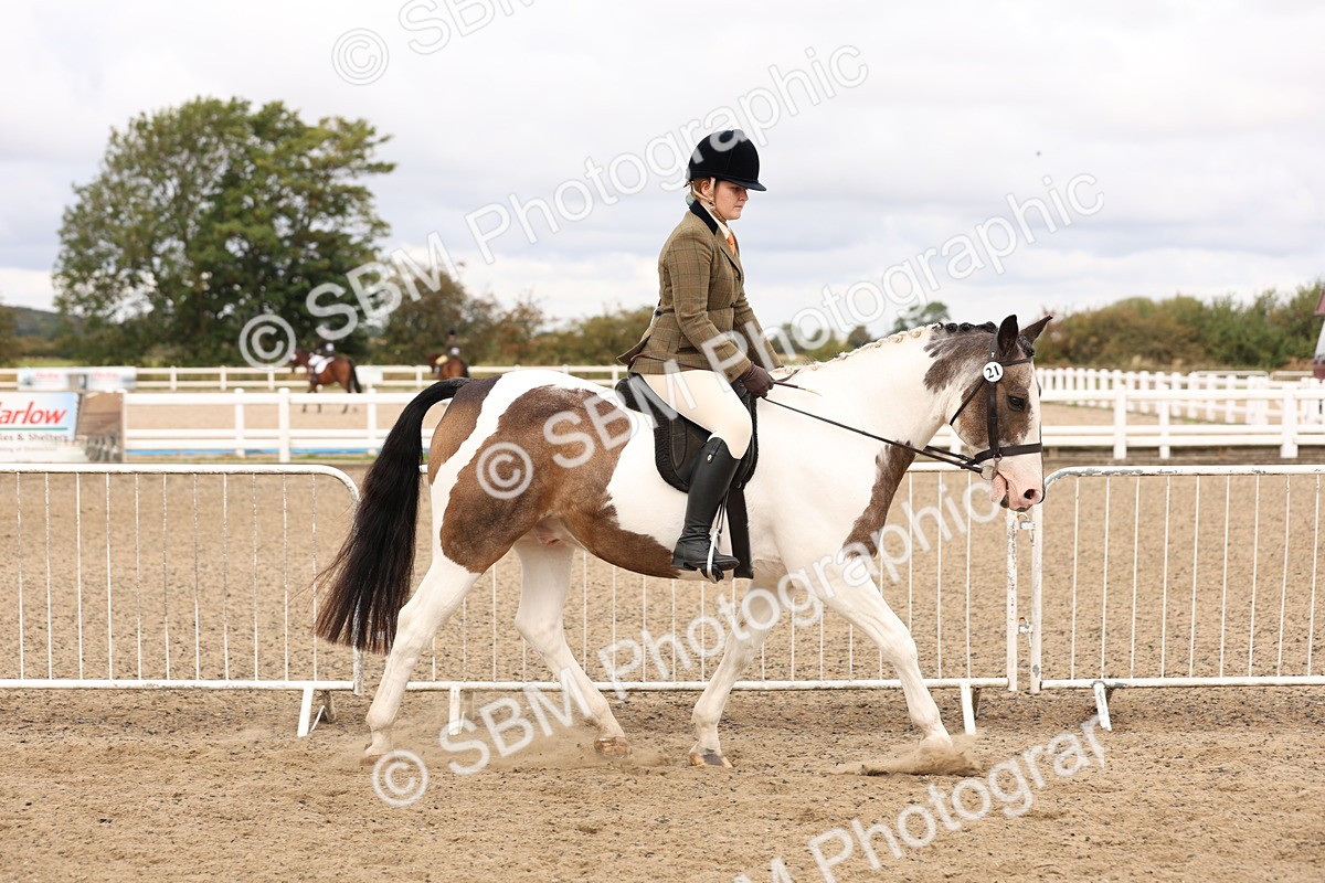 SBM_02790 - Class 53 - Ridden Competition Horse/Pony