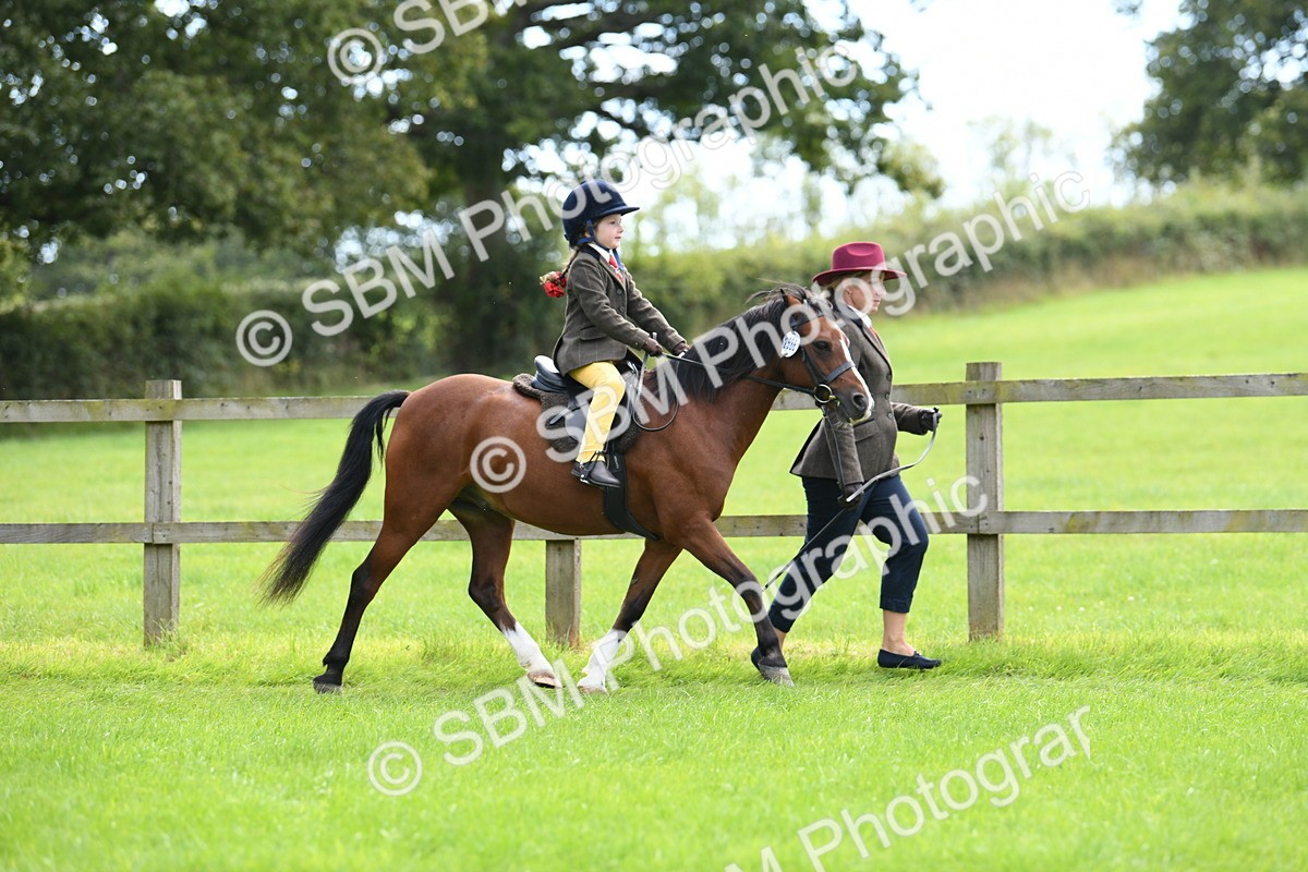 SBM_42488 - S20 - Lead Rein Mountain & Moorland Pony