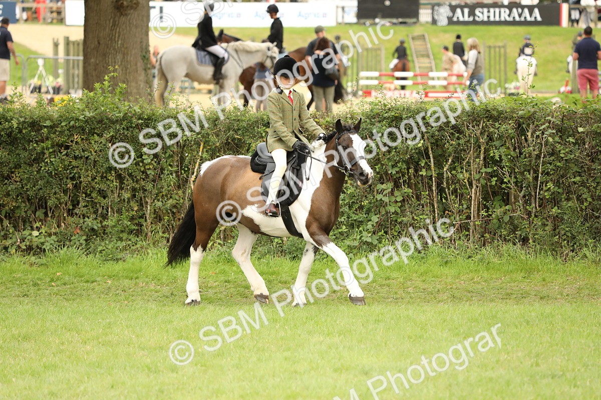 SBM_71571 - S41 - Ridden Equitation (Best Rider)
