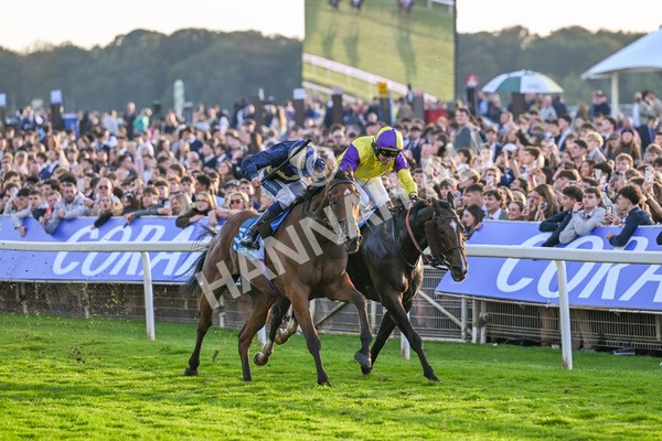 111025-Race 7-Lets Dream-9100 - Race 7 Coral 'Committed To Safer Gambling' Finale Handicap at York