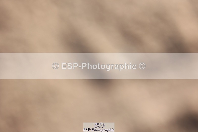 250427-083127-14507 - Cls 28 Young Horse 5yr old