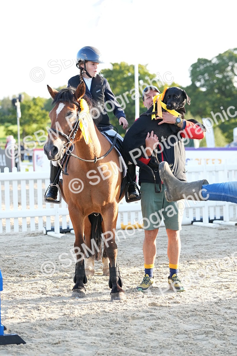 SBM_29542 - J44 - Horse & Hound Open 70cm