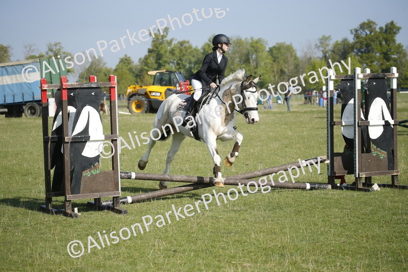20250427-0310 - Class 12 - Rookie Jumping 40cm