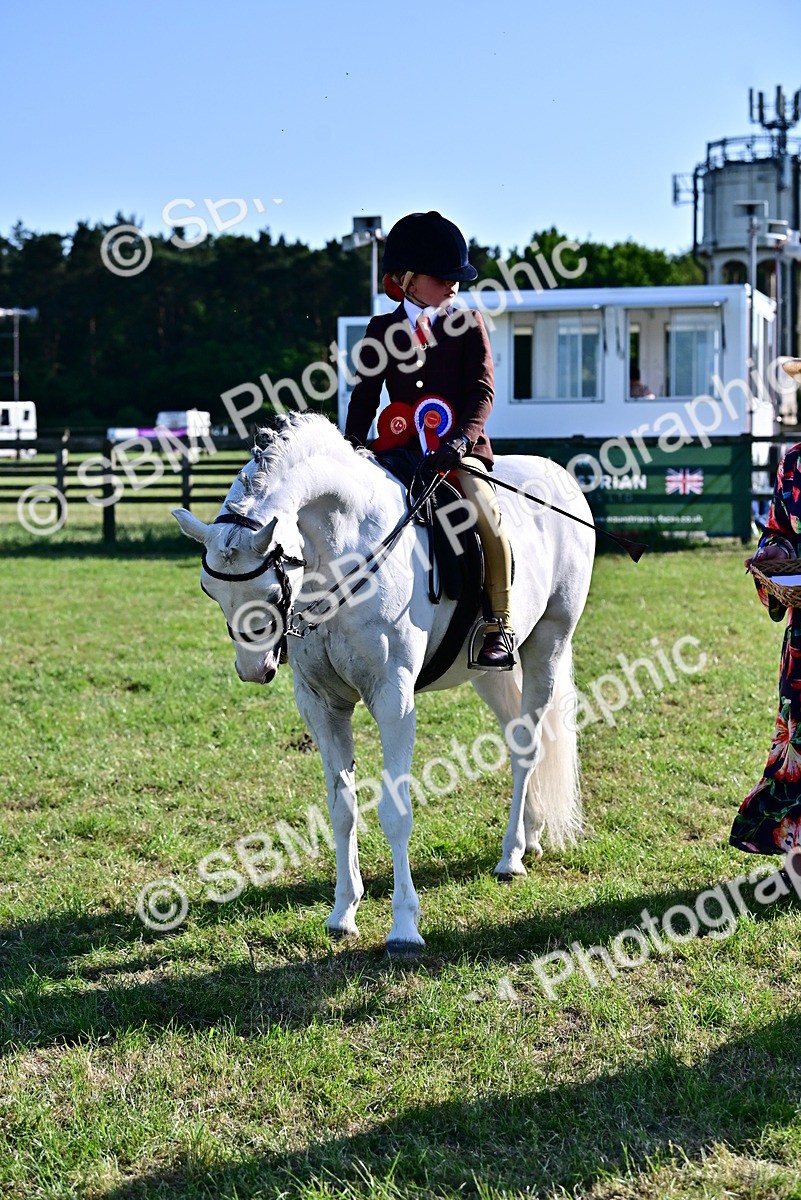 SBM_19921 - Class 103 - 105 - TSR Ridden Amateur of the Year Plaited Ponies