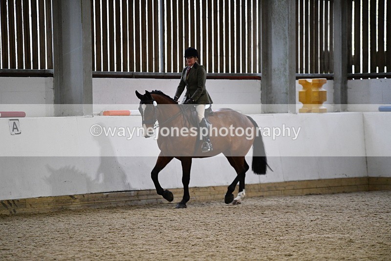 WJ5_8995 - Class 15 Ridden Show Horse