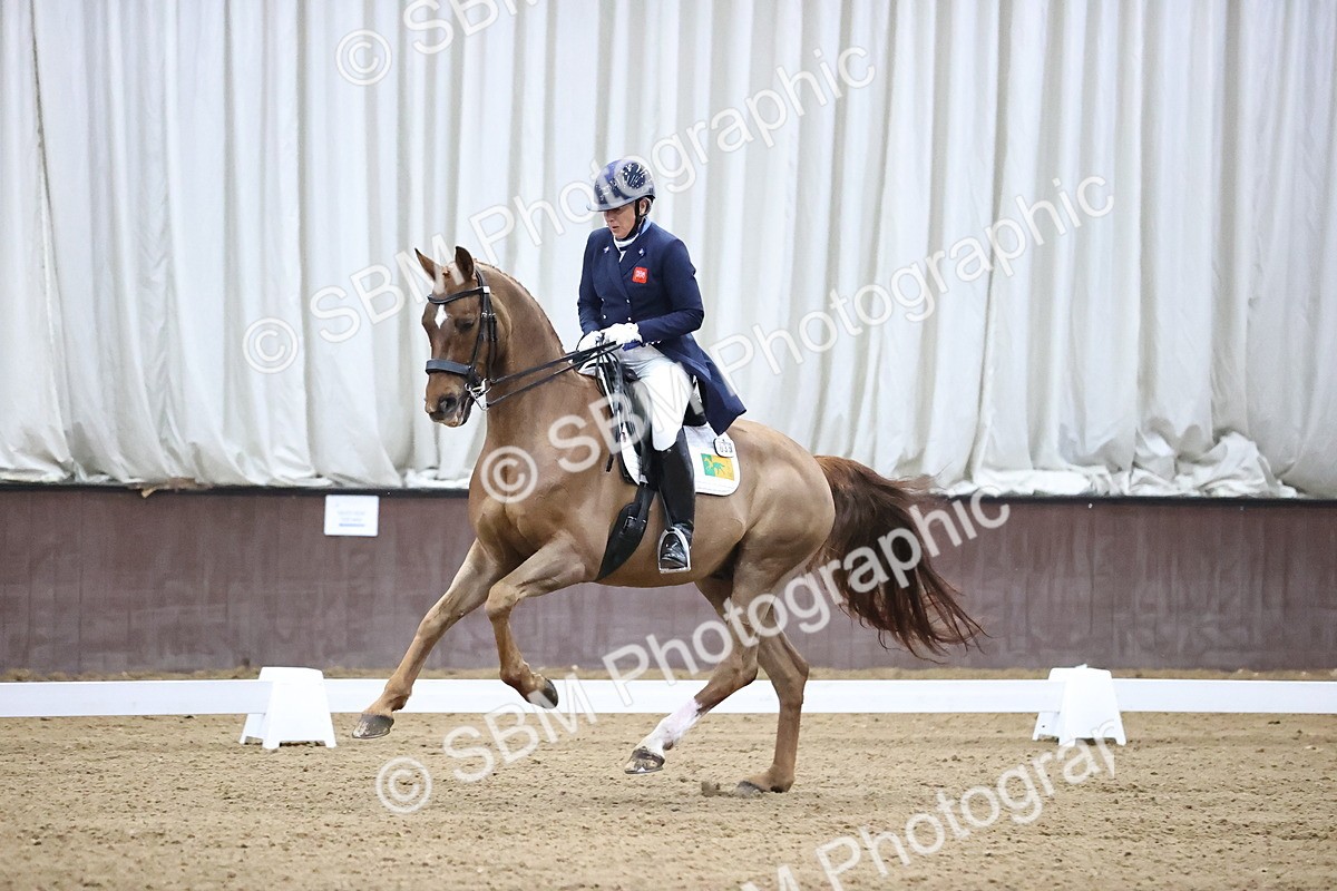 SBM_000640_Class 19 - FEI PSG - Harvey