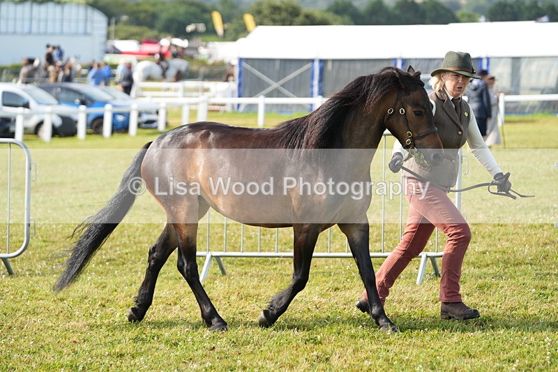 DSC04953 - Class 48: NPS M&M 2/3 year olds