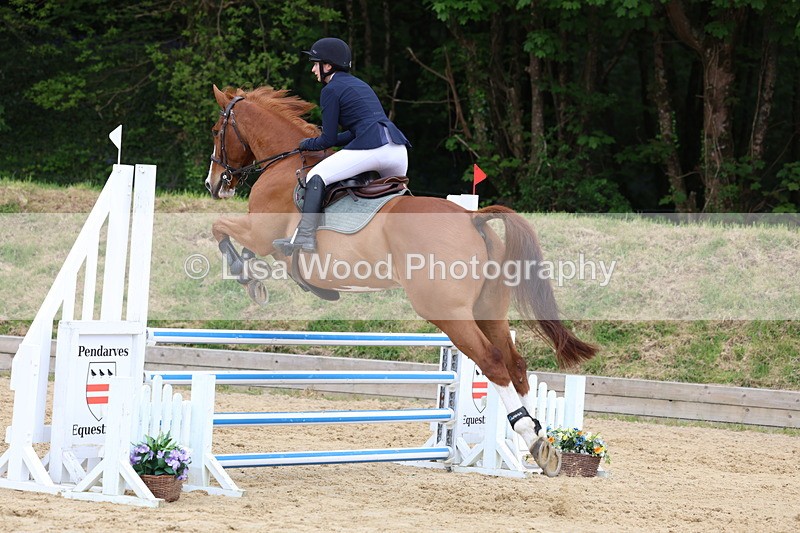 3E7A6266 - Class 4: Senior British Novice/90cm open