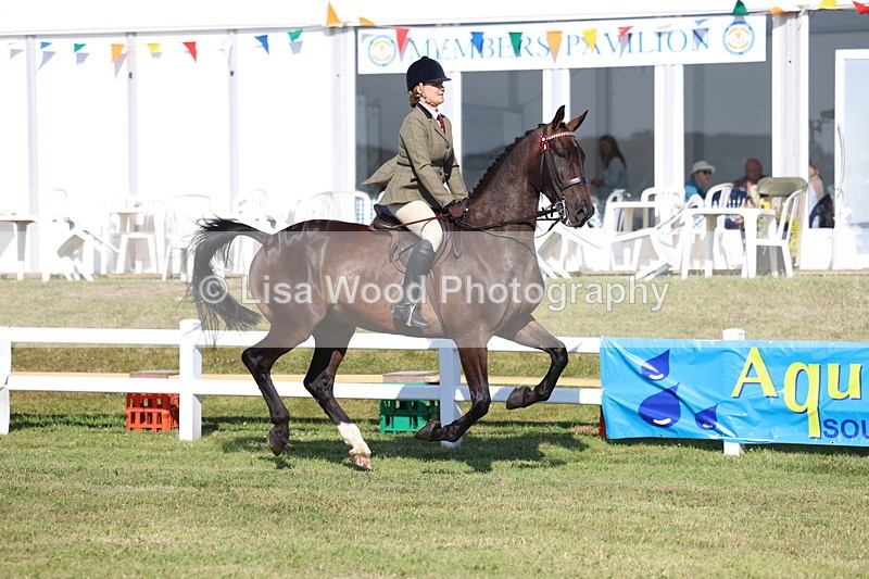 3E7A5583 - Class 2: Rising Star Large Hack/Riding Horse