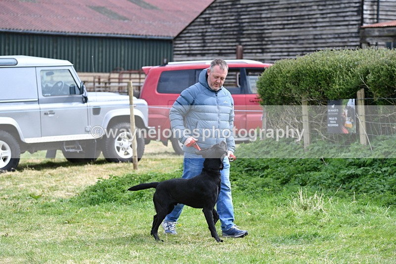 WJ5_9585 - Class 3 Most Handsome Dog