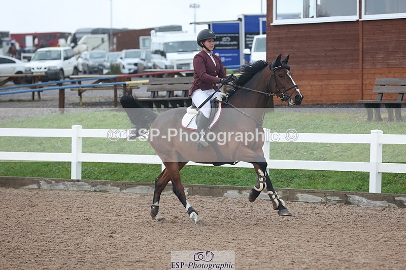 231112A-100957-03228 - Cls 17 Blue Chip Novice Winter Qualifier