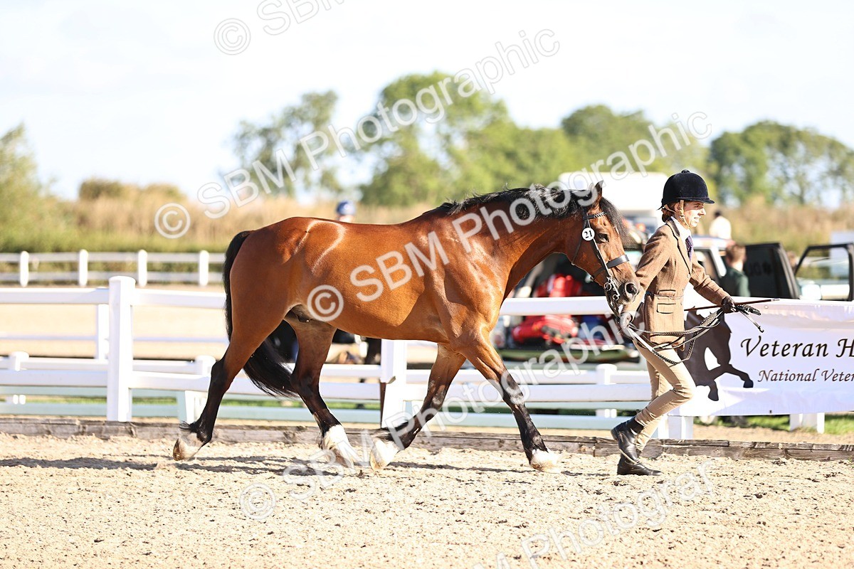 SBM_08415 - Class 402 - IH Veteran Pony