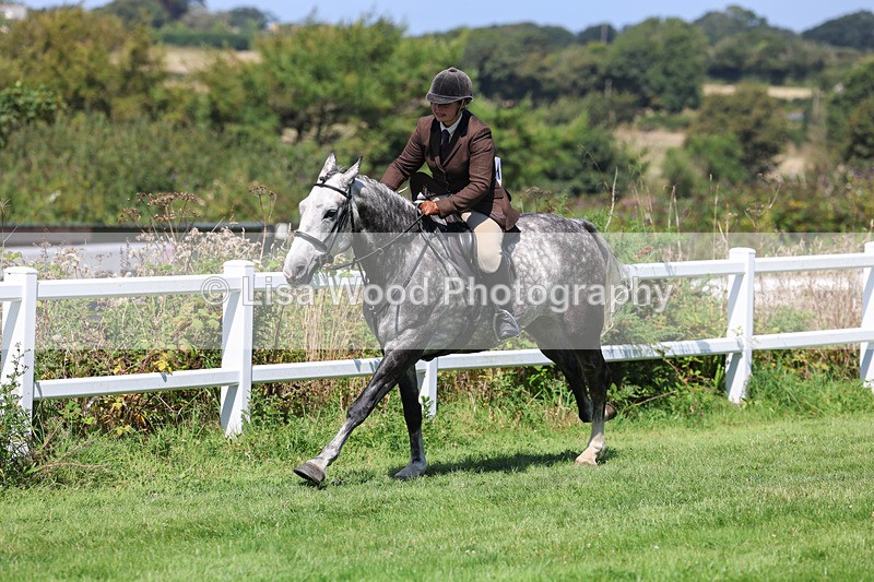 3E7A8989 - Class 6: Open Working Horse